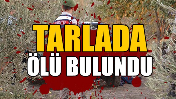 Tarlada Ölü Bulundu