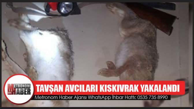 Tavşan Avcıları Kıskıvrak Yakalandı