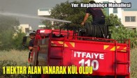 1 Hektar Alan Yanarak Kül Oldu