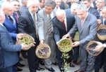 5. Zeytin Hasat Şenlikleri Devam Ediyor