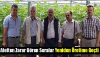 Afetten Zarar Gören Seralar Yeniden Üretime Geçti