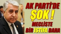 AK Parti de İstifa