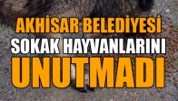Akhisar Belediyesi Sokak Hayvanlarını Unutmadı