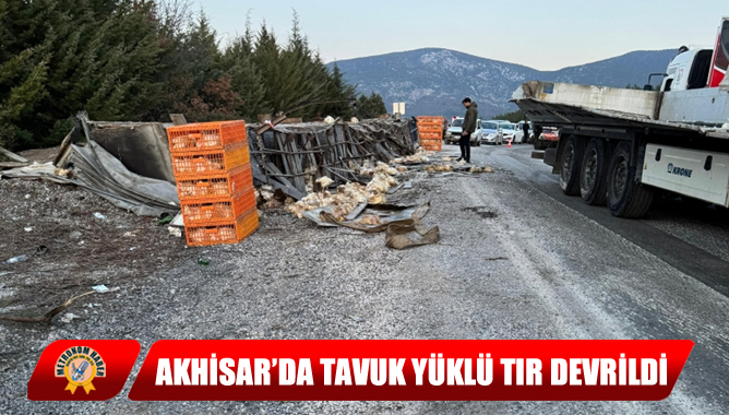 Akhisar’da Tavuk Yüklü Tır Devrildi