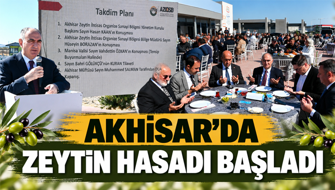 Akhisar’da Zeytin Hasadı Başladı