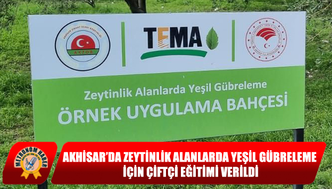 Akhisar’da Zeytinlik Alanlarda Yeşil Gübreleme İçin Çiftçi Eğitimi Verildi