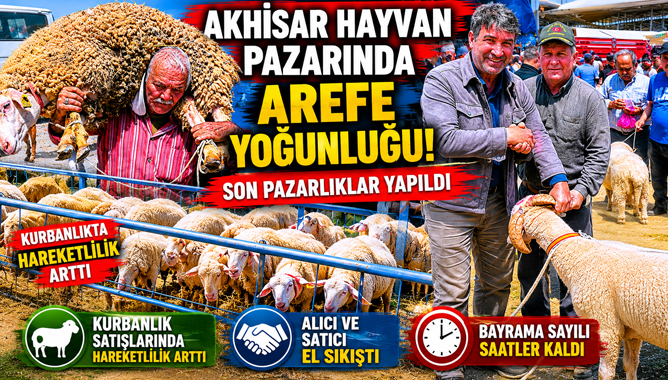 Akhisar Hayvan Pazarında Arefe Yoğunluğu: Son Pazarlıklar Yapıldı