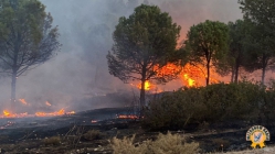 Akhisar’ın Kadıdağ Mahallesinde Orman Yangını Çıktı