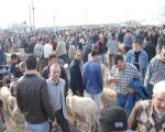 Akhisar Hayvan Pazarı İkinci Bir Emre Kadar Kapatıldı‏