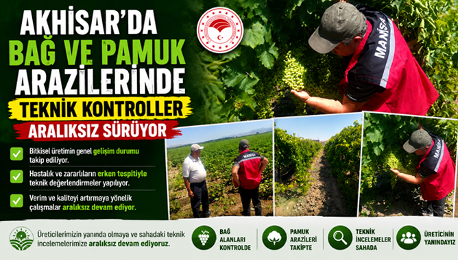 Akhisar'da Bağ ve Pamuk Arazilerinde Teknik Kontroller Aralıksız Sürüyor