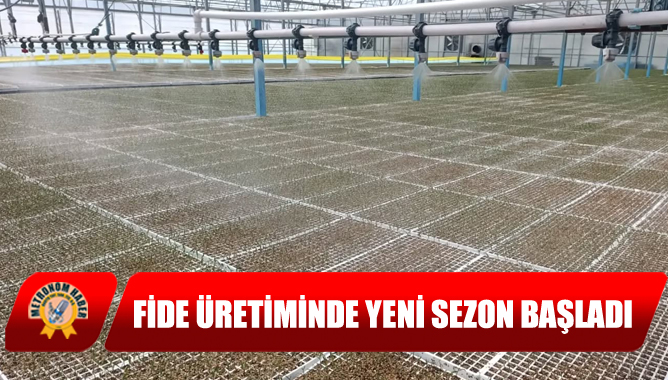 Akhisar'da Fide Üretiminde Yeni Sezon Başladı