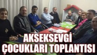 AKSEKSEVGİ ÇOCUKLARI TOPLANTISI