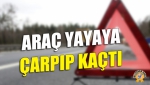 Araç Yayaya Çarpıp Kaçtı