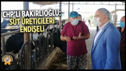 Bakırlıoğlu: Süt üreticileri endişeli