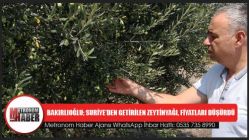 Bakırlıoğlu Zeytinyağı, Fiyatları Düşürdü