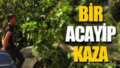 Bir Acayip Kaza