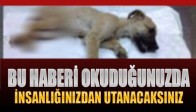 BU HABERİ OKUYUNCA İNSANLIĞINIZDAN UTANACAKSINIZ!