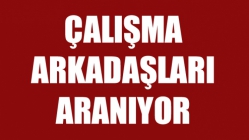 Çalışma arkadaşları aranıyor