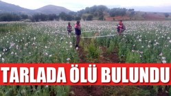 Çalışmaya gittiği tarlasında ölü bulundu