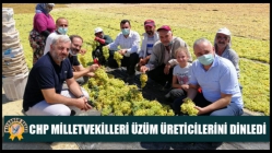 CHP Milletvekilleri Üzüm Üreticilerini Dinledi