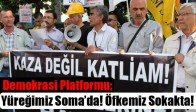 Demokrasi Platformu; Yüreğimiz Soma’da! Öfkemiz Sokakta!