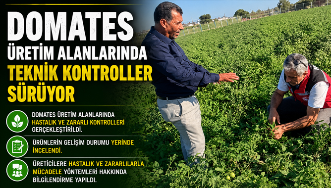 Domates Üretim Alanlarında Teknik Kontroller Sürüyor