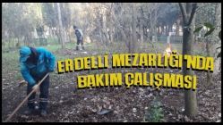 Erdelli Mezarlığı'nda Bakım Çalışması