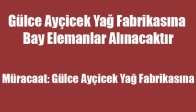 Gülce ayçicek Yağ fabrikasına Bay Elemanlar Alınacaktır