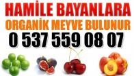 Hamile Bayanlara Organik Meyve Bulunur