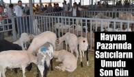 Hayvan Pazarında Satıcıların Umudu Son Gün