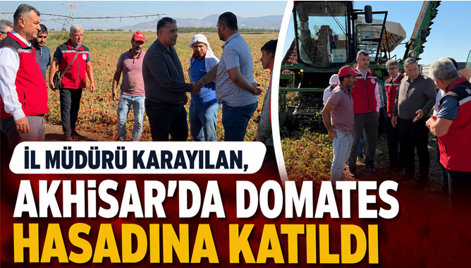 İl Müdürü Karayılan, Akhisar’da Domates Hasadına Katıldı