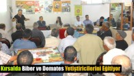 İlçe Tarım Müdürlüğü Kırsalda Biber ve Domates Yetiştiricilerini Eğitiyor