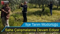 İlçe Tarım Müdürlüğü Saha Çalışmalarına Devam Ediyor