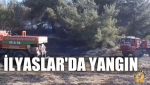 İlyaslar'da Yangın