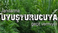 Jandarma Uyuşturucuya Geçit Vermiyor