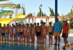 Karabulut Yüzme Kurslarında Son Hafta