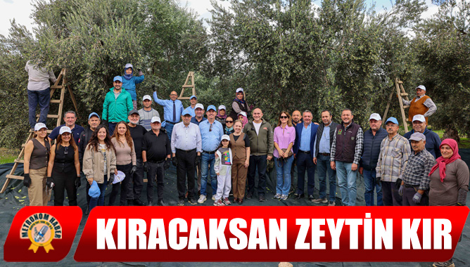Kıracaksan Zeytin Kır