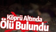 KÖPRÜ ALTINDA ÖLÜ BULUNDU