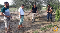 Kuvvetli Sağanak Ve Dolu Yağışı Tarım Ürünlerine Zarar Verdi