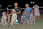Leylek, İzmir’de Yapılan Yarışmaya 5 Köpeğiyle Katıldı