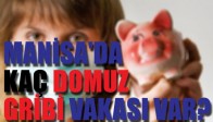 MANİSA'DA KAÇ DOMUZ GRİBİ VAKASI VAR?