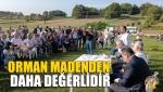 Orman Madenden Daha Değerlidir