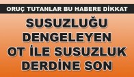 Oruç Tutanlar Bu ot ile susuzluk çekmiyor