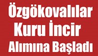 Özgökovalılar Kuru İncir Alımına Başladı