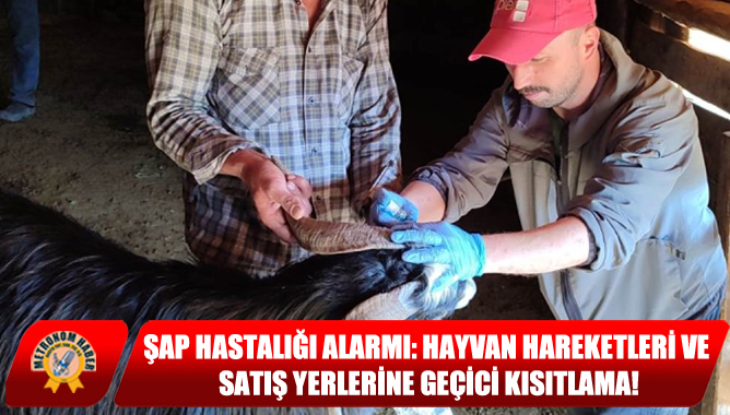 Şap Hastalığı Alarmı: Hayvan Hareketleri Ve Satış Yerlerine Geçici Kısıtlama!