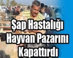 Şap Hastalığı Akhisar Hayvan Pazarını Kapattırdı‏