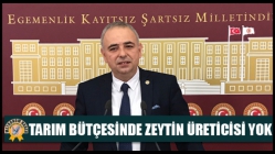 Tarım Bütçesinde Zeytin Üreticisi Yok