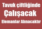 Tavuk çiftliğinde çalışacak Elemanlar Alınacaktır