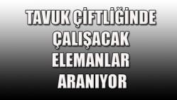 Tavuk Çiftliğinde çalışacak elemanlar aranıyor