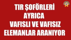 Tır Şoförleri ve Vafıslı, Vafısız Elemanlar Aranıyor